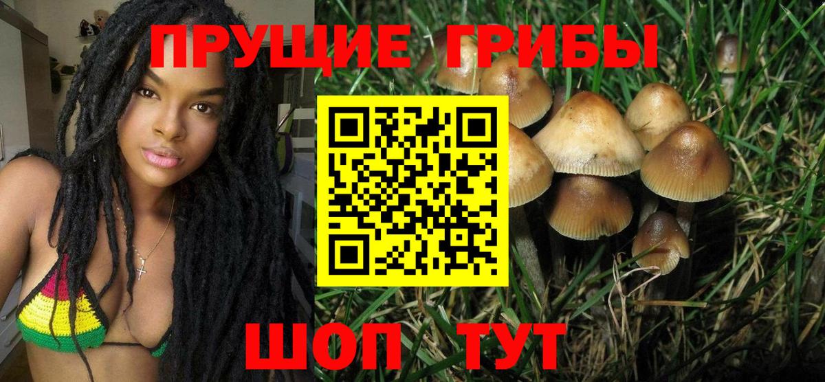 Артёмовский  Галлюциногенные грибы GOLDEN TEACHER  Вход с VPN  Галлюциногенные грибы Magic Shrooms 