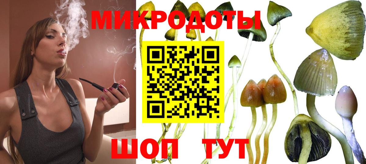 Галлюциногенные грибы GOLDEN TEACHER Артёмовский